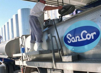 Sancor entra en etapa decisiva: arranca la carrera entre empresas e inversores por los activos de la histórica láctea