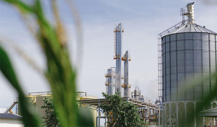 Cereza años medallista 8 empresas producen más del 80% del bioetanol | ON24 | Información Precisa.  Periodismo en serio