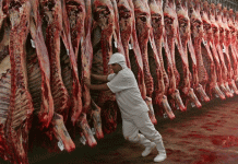 Carne: la caída del consumo sigue limitando la recomposición de precios