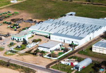 Con apoyo de EE.UU., Metalfor refuerza su plan industrial con USD 50 millones