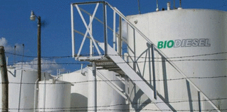Biocombustibles: Santa Fe busca elevar el corte y reclama una nueva ley nacional