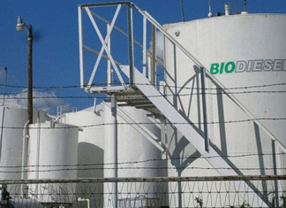 Biocombustibles: Santa Fe busca elevar el corte y reclama una nueva ley nacional