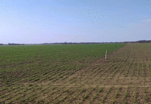 Propiedad rural: la Corte revocó el fallo que había frenado la derogación de la Ley de Tierras