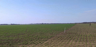 Propiedad rural: la Corte revocó el fallo que había frenado la derogación de la Ley de Tierras