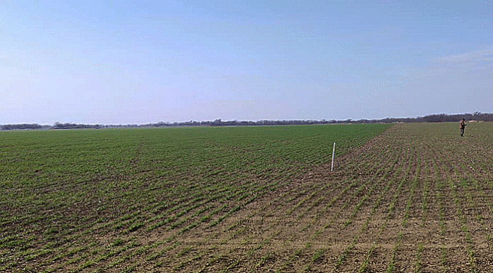 Propiedad rural: la Corte revocó el fallo que había frenado la derogación de la Ley de Tierras