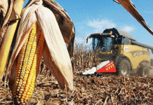 El agro podría aportar un récord de US$ 42.200 millones en la campaña 2026/27
