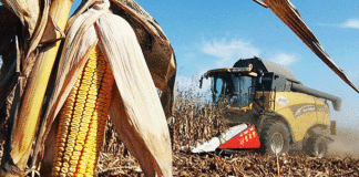 El agro podría aportar un récord de US$ 42.200 millones en la campaña 2026/27