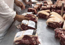 Carne argentina: alertan por cambios globales que podrían golpear al negocio exportador