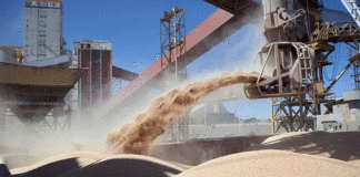 El 43% de la cosecha ya pasó por el mercado de futuros: qué significa para el agro