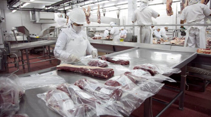 El frigorífico Euro reabre su planta y proyecta exportar carne a China