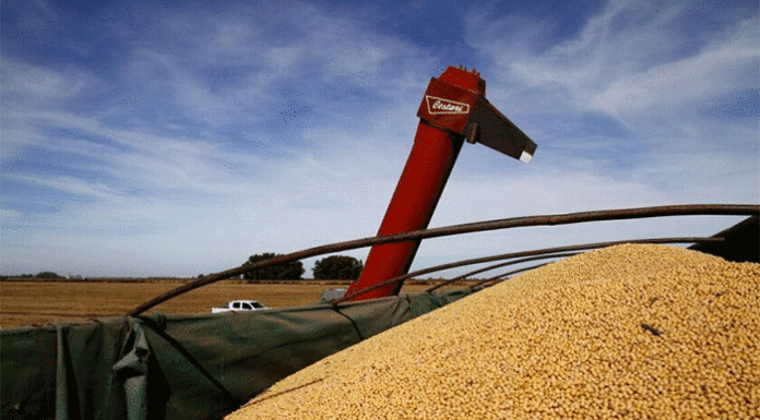 Agroindustria: fuerte caída en la liquidación de divisas en febrero
