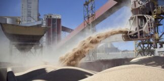 Con 11,6 millones de toneladas, Bunge lideró las exportaciones de granos en Argentina