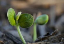 Aapresid 2026: la integración de tecnologías marca el rumbo de la agricultura moderna