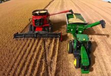 Rentabilidad agrícola: cuánto ganan por hectárea los productores y que impacto tienen las retenciones