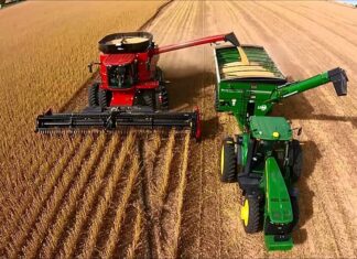 Rentabilidad agrícola: cuánto ganan por hectárea los productores y que impacto tienen las retenciones