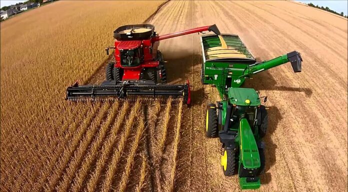 Rentabilidad agrícola: cuánto ganan por hectárea los productores y que impacto tienen las retenciones