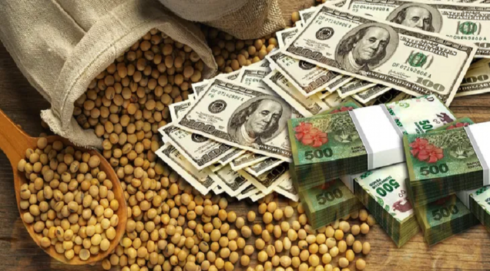 El 83% de la renta agrícola termina en manos del Estado