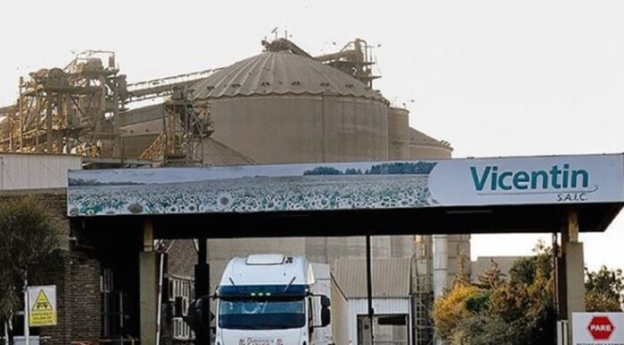 Vicentin accede a un financiamiento de hasta US$50 millones de Bunge: qué puso en garantía