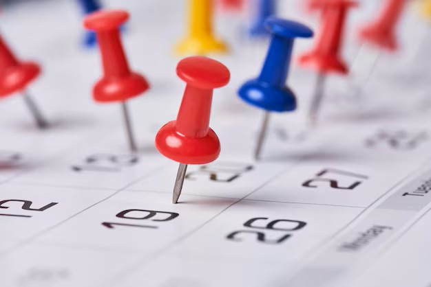 feriados calendario argentina 2024
