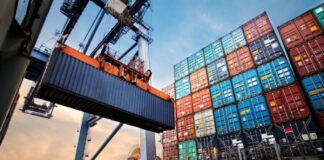 Petróleo, maíz y soja: los tres productos que explican casi US$16.000 millones de los US$58.365 millones exportados por Argentina