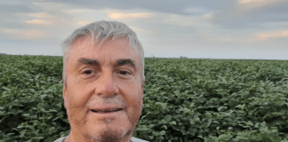 Debate por los impuestos: Benegas Lynch habló de alivio fiscal y Roulet respondió