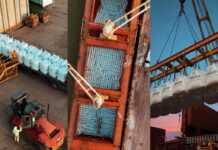 Terminal Puerto Rosario exportó 25.000 toneladas de azúcar del NOA a Estados Unidos