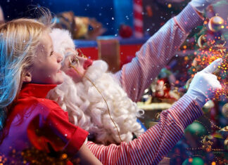 CIRCO ÁNIMA vuelve a Rosario