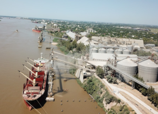 El Gran Rosario concentra seis de cada diez barcos que exportarán desde Argentina