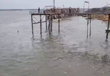 Un postor podría mover la aguja en El Mangrullo: Paraná Fishing estaría evaluando un polo náutico con servicios hoy concentrados en San Lorenzo