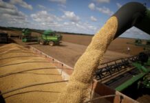 Las Bolsas de Cereales y de Comercio destacan la reducción permanente de las retenciones como un paso clave para la competitividad del sector