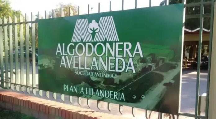 Vicentín logra aval judicial para reactivar plantas algodoneras y sostener una empresa en crisis