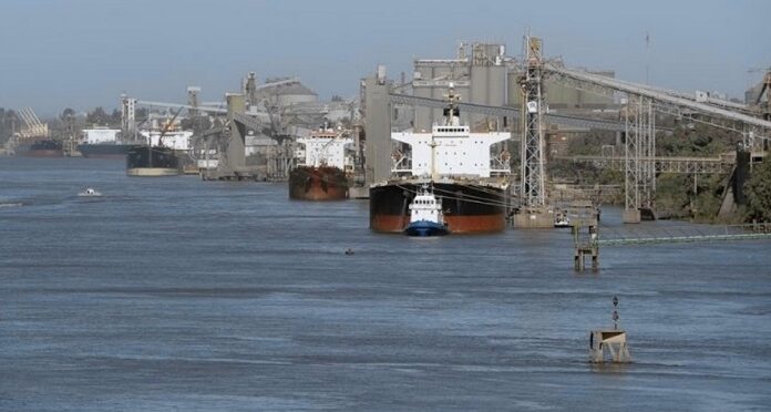 Argentina concreta el primer envío de trigo a China: un nuevo mercado para una cosecha abundante pero con calidad dispar