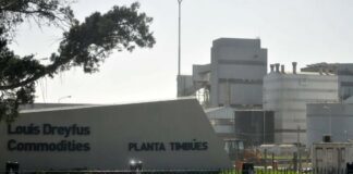 Dreyfus reportó ingresos por US$53.200 millones y posiciona a Argentina como eje clave de su expansión regional