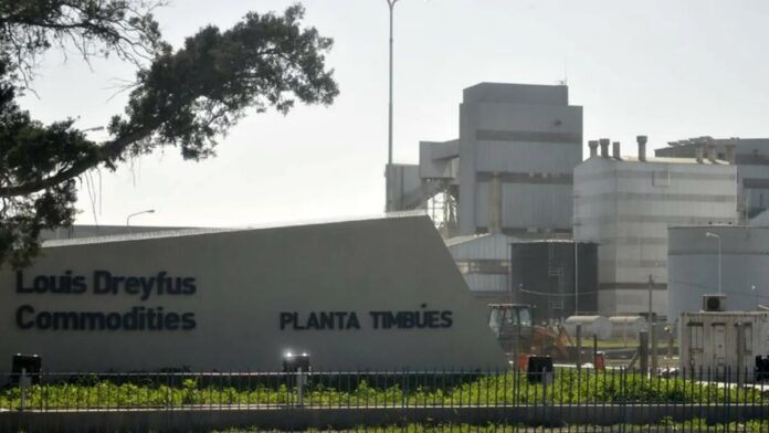 Dreyfus inaugura en Timbúes una nueva línea para procesar semillas con alto contenido oleico