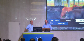 Histórico: en el remate de Rosgan se pagó cuatro dólares el ternero