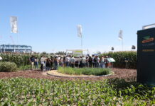 Cerrar brechas, integrar soluciones y trabajar en red