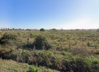 Nuevo Alberdi: el Concejo aprobó reglas clave de construcción para ordenar el crecimiento urbano