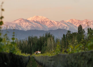 Una experiencia inmersiva en la cuna del Malbec que combina viñedo, historia, tecnología y gastronomía mendocina