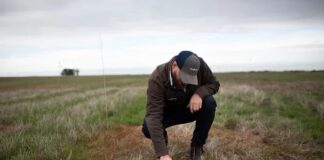 El agro da un salto histórico: Argentina incorpora una tecnología clave contra malezas resistentes