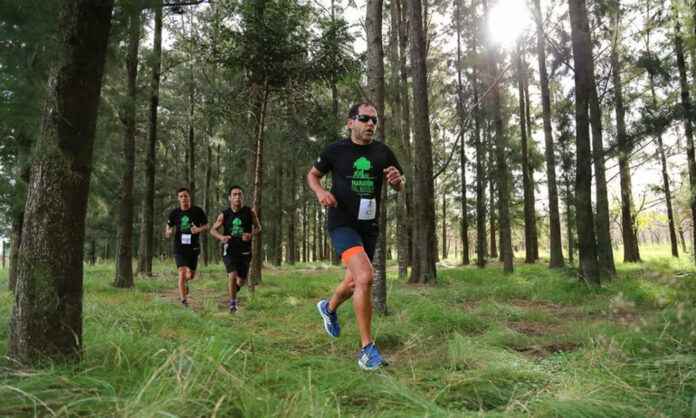 Maraton bosque