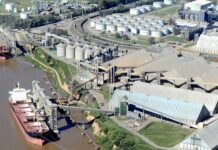El Gran Rosario volvió a ser el principal nodo agroexportador del mundo y superó a Nueva Orleans
