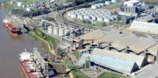 El Gran Rosario volvió a ser el principal nodo agroexportador del mundo y superó a Nueva Orleans