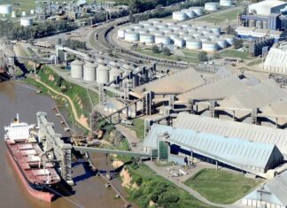 El Gran Rosario volvió a ser el principal nodo agroexportador del mundo y superó a Nueva Orleans