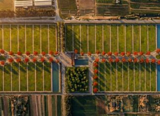 Nace Nodo, el parque industrial que busca captar empresas alimenticias de la región