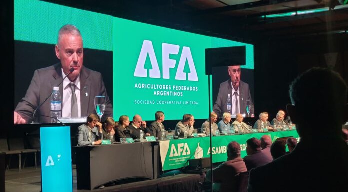 Seguros, bioetanol y nuevos mercados: la hoja de ruta de AFA para los próximos años