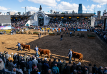 Reforma tributaria para el agro: especialistas piden eliminar impuestos distorsivos