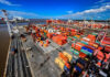 PTP Argentina afianza su operación internacional: recibió 12.500 toneladas de girasol argentino en su terminal de Cádiz