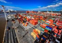 PTP Argentina afianza su operación internacional: recibió 12.500 toneladas de girasol argentino en su terminal de Cádiz