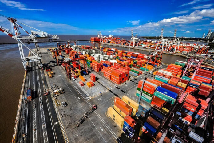 PTP Argentina afianza su operación internacional: recibió 12.500 toneladas de girasol argentino en su terminal de Cádiz