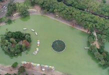 La transformación del Parque Independencia avanza sobre uno de sus íconos: el calendario floral permanecerá cerrado 15 días